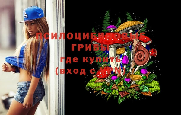 гидропоника Киренск