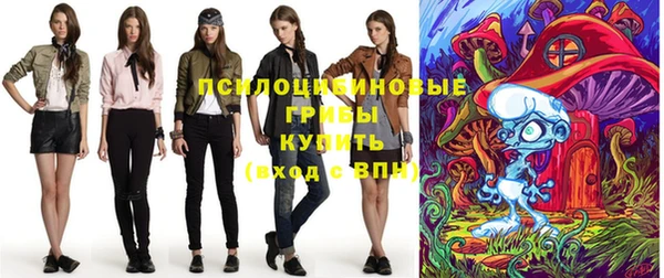 мдпв Семёнов