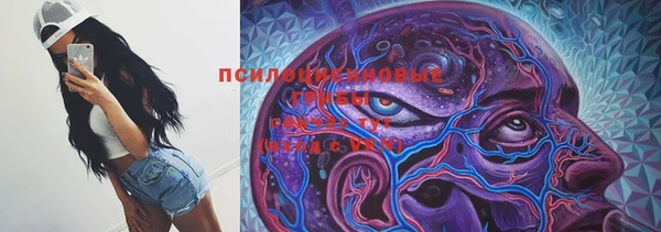 гидропоника Киренск