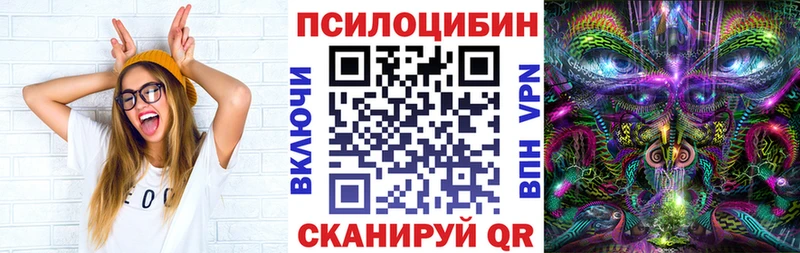 Галлюциногенные грибы MAGIC MUSHROOMS  Купить закладки  Агрыз 